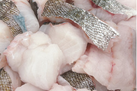 【真空冷凍】ぶりんぶりん！どデカ真鱈の切り身２㎏