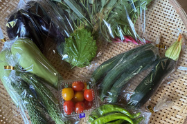 ギフトにも！小さな農家、旬のお野菜セット　6〜8品目熨斗対応可＜農薬、化学肥料不使用＞