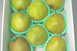特選品 6kg ラ・フランス 大玉　8~9玉入り3kgが2箱　こだわり栽培　ギフトご贈答にも　山形県産西洋梨ラフランス
