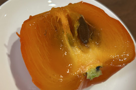 だいしろ柿用渋柿。ゼリーみたいな食感。冷やして美味しい！約2kg(5〜6個)