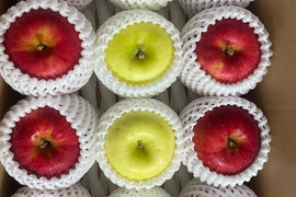 お任せミックス！岩手江刺産★家庭用３㎏