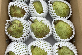 糖度14度以上を光センサーで確認した訳ありラ・フランス（約3kg）5～11個　全国最優秀賞グランプリ受賞農園からの西洋梨をお楽しみください。