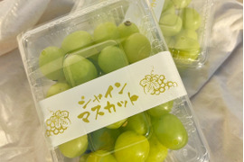 パリパリ食感★大粒シャインマスカット★ご家庭用（３５０ｇ×２パック入り）７００ｇ