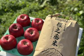りんご＆お米！　はれわたり（白米）5kgと葉取らずコスモふじ（家庭用）2kg（5〜10個入り）