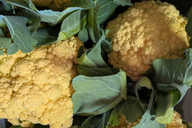 （８個）オレンジカリフラワー