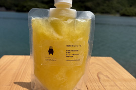 【夏ギフト】冷凍甘夏みかんジュース6本セット（1本150ml）