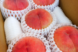【夏ギフト】品種おまかせ　4〜5玉（約1kg）【7月15日頃〜8月10日頃まで販売】