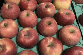 すぐ発送！5キロ 16-20 蜜入チェック済！樹上完熟蜜入葉取らずサンふじ　農薬半減栽培で安心安全