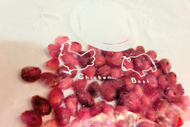 ざくろ ザクロ の実50粒 ※皮をとった採れたての実を冷凍保存したもの☆クール便☆農薬、化学肥料、除草剤、動物性肥料等不使用☆自然栽培☆国産ざくろの実◆冷凍便でお届け