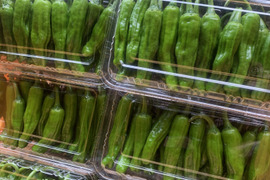 甘みの向こう側に辛味あり。シシトウ「翠臣」100g×6袋