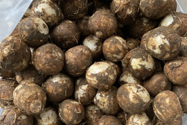 トンネル育ちの南国採れたて里芋　(3kg)