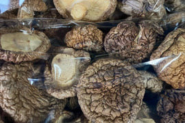 【訳あり】乾燥椎茸（菌床栽培）１００ｇ【数量限定】