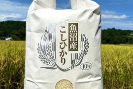 【新米】令和7年産 魚沼産コシヒカリ10Kg