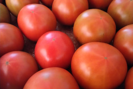 【野菜ソムリエサミット金賞】濃厚！ウエタトマトのトマト(4キロ箱)