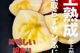 スーパーなどには滅多に並ばない冬採りプレミアム‼︎今年も完熟の証【いぼりりんご】が仕上がりました◎青森県産蜜入り葉取らずサンふじ３キロ　大玉中玉9個〜11個詰め