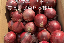農薬、除草剤不使用！淡路島紫玉ねぎ 赤玉ねぎペコロスサイズ3kg 【彩り×美容】食べるエイジングケア！