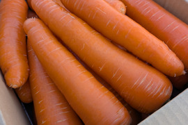 甘さ最高潮！寒熟（かんじゅく）冬にんじん 5kg｜農薬・化学肥料不使用｜BonaDea