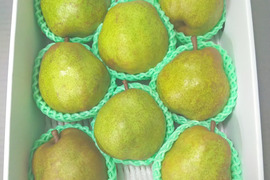 特選品 3kg こだわり栽培 ラ・フランス　大玉8~9玉入り　ギフトご贈答にも　山形県産西洋梨ラフランス