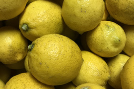 農薬不使用　瀬戸内レモン(グリーンレモンに近いもの含む） 3kg