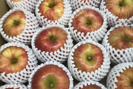 【夏りんご】青森県産りんご 「つがる」家庭用 キズ有 約5kg 【光センサー選果】