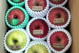 【2箱セット】☆農薬不使用りんご☆と他品種詰め合わせ3キロ（８〜１２玉）