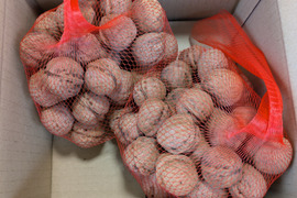 信州産殻付き菓子クルミ1km(58~65個)