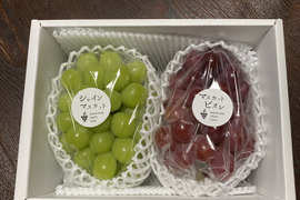 矢掛町産シャインマスカットとマスカットビオレ2房箱（約1kg）