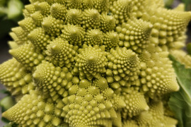 旬の野菜セット ！！