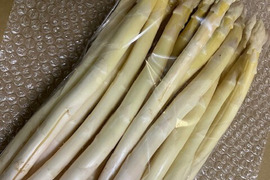訳アリ＆限定！！　～規格外～　静岡育ち　ホワイトアスパラガス　L～３Lサイズ混合＆規格外品　1kg