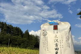 【令和7年新米】「長野県産　五百川」信州茅野 米沢吉田米　精米10㎏