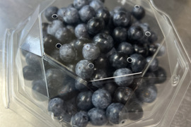 栽培期間中農薬化学肥料不使用！【生ブルーベリー】250g×2p
【生食用】