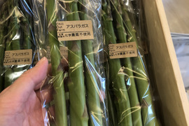 \露地栽培！みずみずしいアスパラガス300g＋今が旬！約5種類の野菜/セット【農薬・化学肥料不使用】