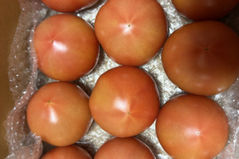 規格外★80サイズ箱詰め合わせ