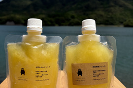 【夏ギフト】飲み比べ！冷凍甘夏みかんジュース3本・冷凍河内晩柑ジュース3本の6本セット（1本150ml）