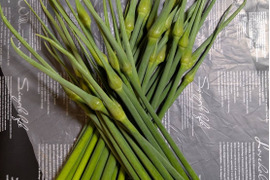 【京都産】無臭ニンニク（ジャンボリーキ）の芽 　1kg（40～50本）