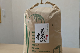 『令和７年度産』●●玄米●●自然が育んだ美味しいお米★もろみ米【コシヒカリ】20㎏×1袋