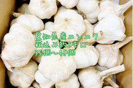 愛知県産にんにく　箱込み約2キロ　35個から45個　サイズ60