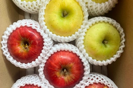 お任せミックス！岩手江刺産☆家庭用2㎏