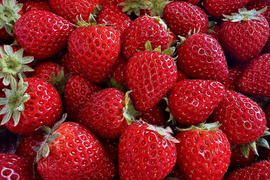 加工用「あまりん」たっぷり1Kg！