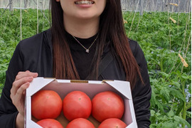 【規格外】トマト界のモンスター！！大玉トマト1.5kg