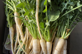 【ふりかけに！！】大根の抜きな1kg