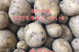 【自然栽培】ほっくり柔からかじゃがいも4.5kg