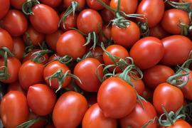 愛媛県産  高糖度ミニトマト 1kg