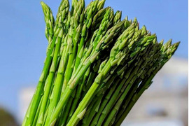 お子様にも大人気！　『スナックアスパラガス』　700g