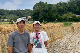 ひとめぼれ 【玄米5㎏】　農薬・肥料不使用　天日干し！