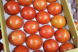 食べ出したら止まらない！
大玉トマト Lサイズ 20玉(4kg)
バーガーサイズ🍔