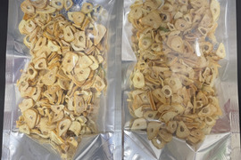 【訳あり】ニンニクスプラウト20本　発芽にんにくチップ40gセット