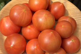 抜群の味！フルーツトマト　1kg