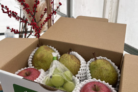 ★ラ・フランス、つぶつぶシャインマスカットと完熟まるかじり
ふじ詰め合わせセット★