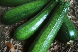 自家採種ブラックビューティー【山梨県北杜市産】　2kg